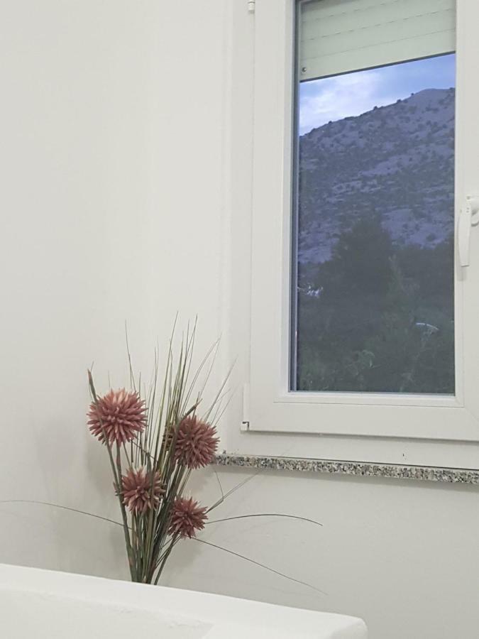 Hotel Vila Velvet à Starigrad Paklenica Extérieur photo
