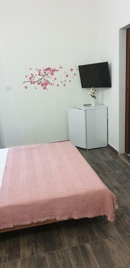 Hotel Vila Velvet à Starigrad Paklenica Extérieur photo